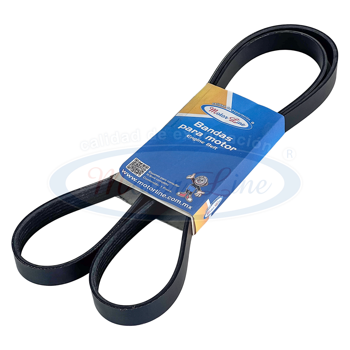 051 / AZ-6K638 / 6PK1620 / Banda para Motor - Imagen 2
